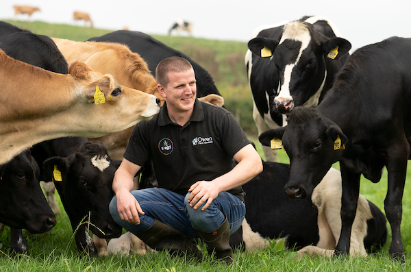 Gareth Owen crouching in a field with both Jersey and Holstein cows